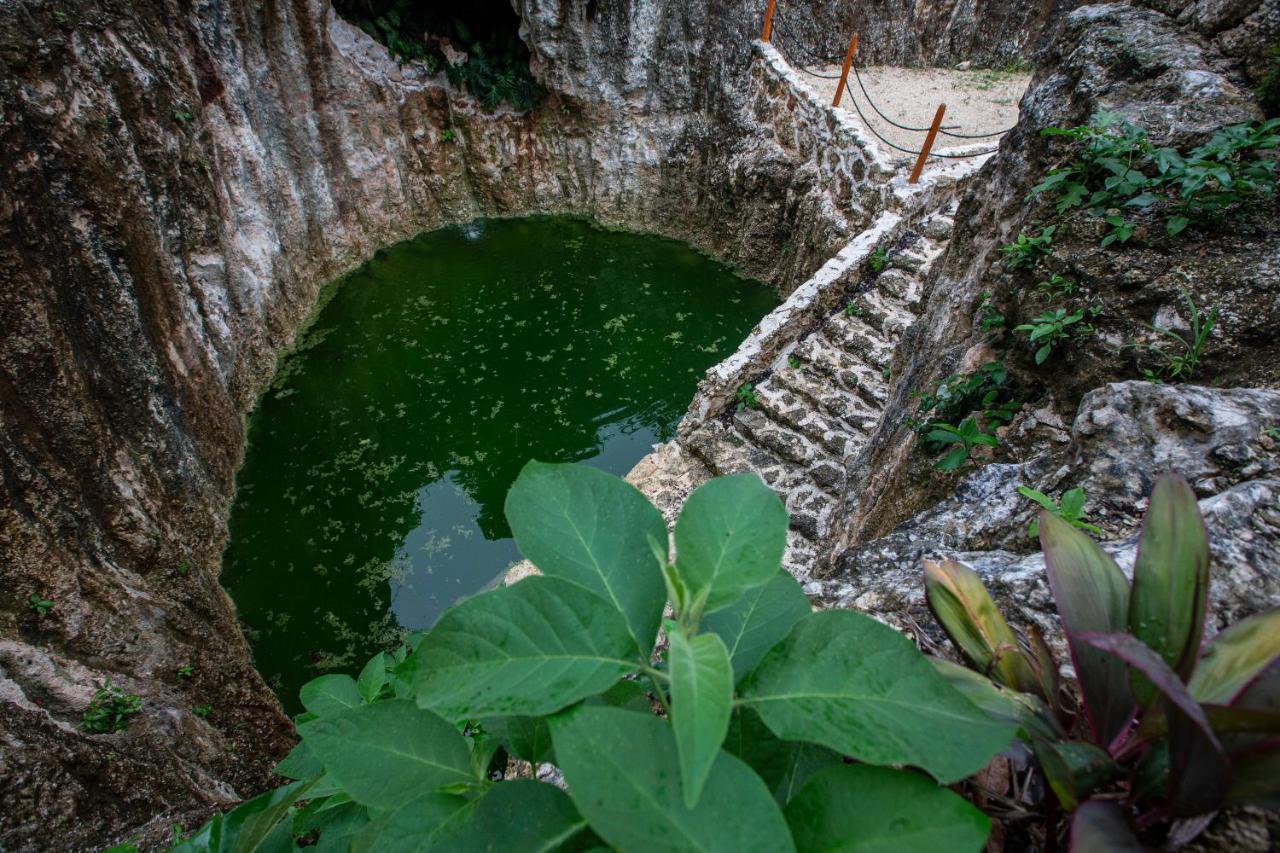 Hotel Jolie Jungle Eco - Ruta De Cenotes 3*