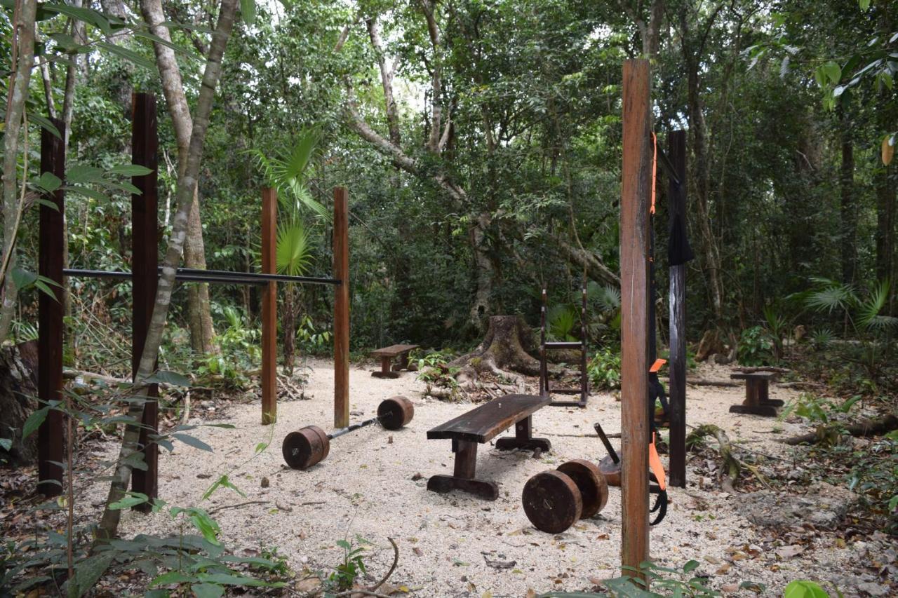 Jolie Jungle Eco - Ruta De Cenotes