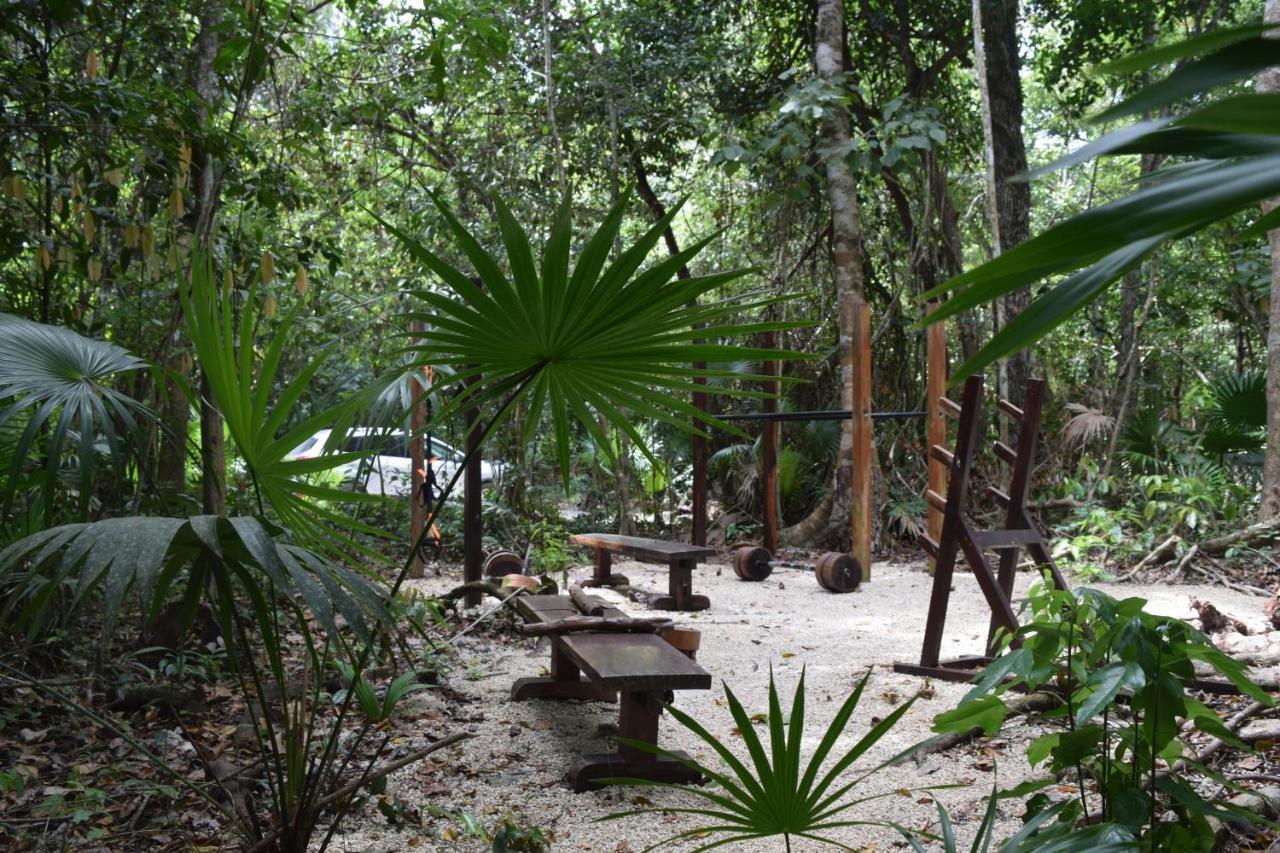 Jolie Jungle Eco - Ruta De Cenotes Leona Vicario