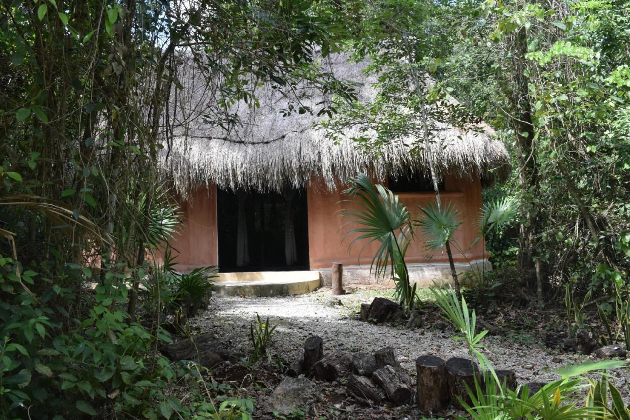 Jolie Jungle Eco - Ruta De Cenotes Hotel Leona Vicario