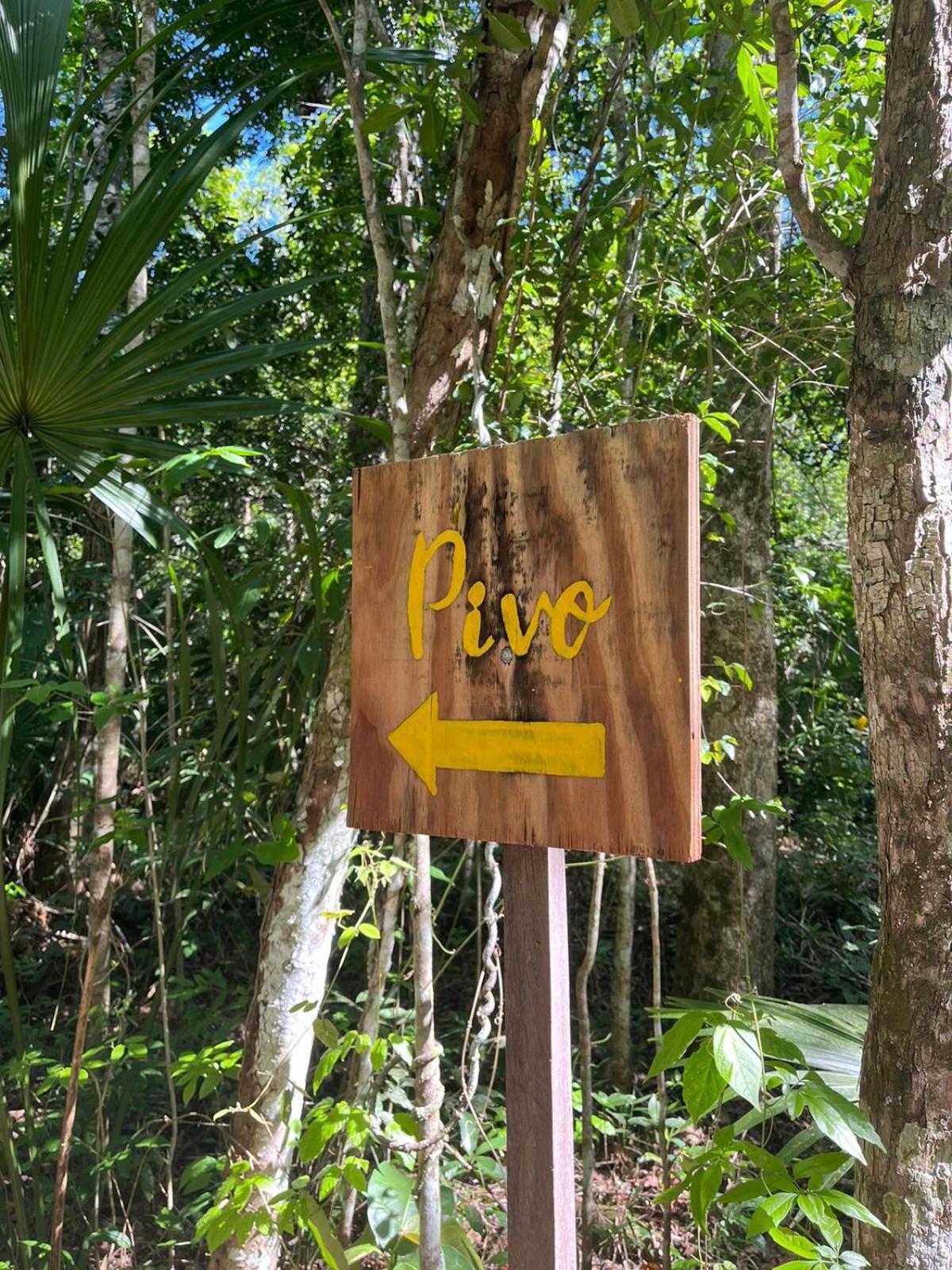 Jolie Jungle Eco - Ruta De Cenotes 3* Leona Vicario