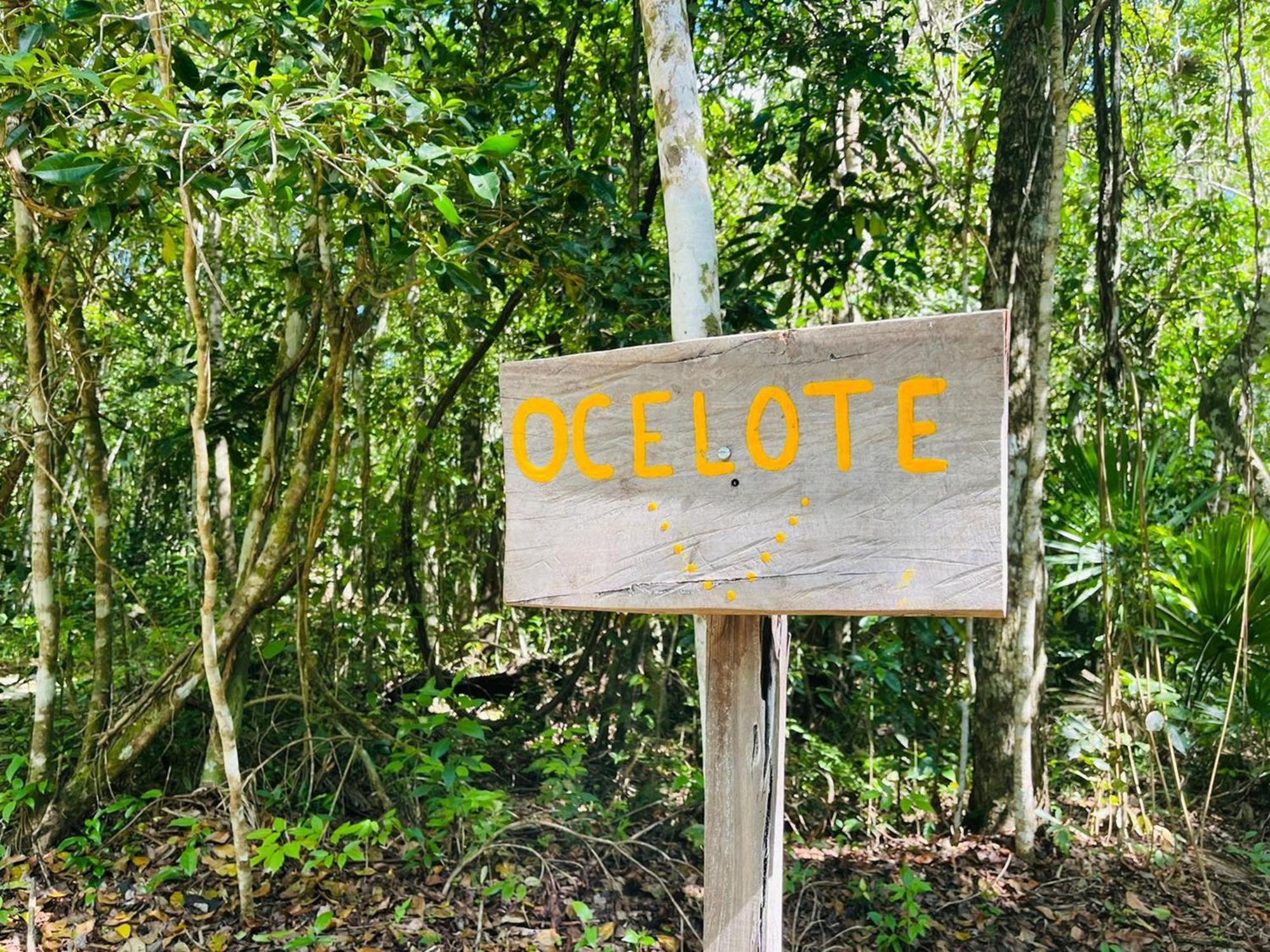 Hotel Jolie Jungle Eco - Ruta De Cenotes 3*