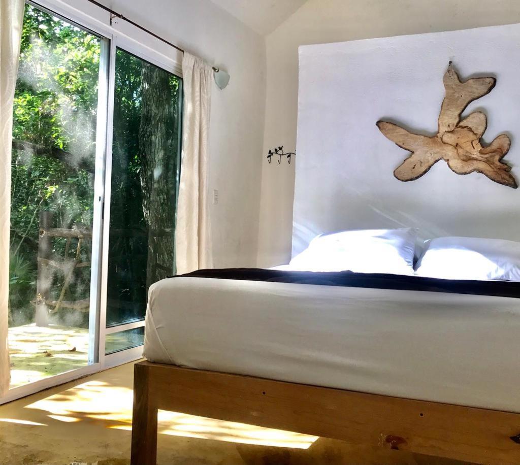 Jolie Jungle Eco - Ruta De Cenotes Hotel