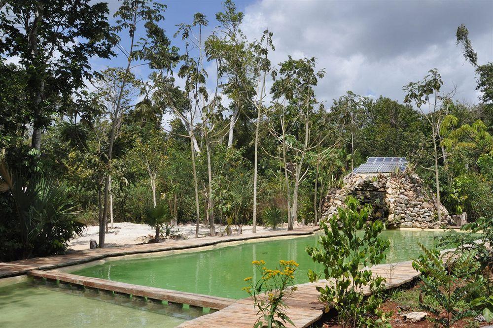 Jolie Jungle Eco - Ruta De Cenotes Hotel