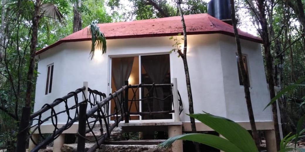 Jolie Jungle Eco (adults Only) 3*